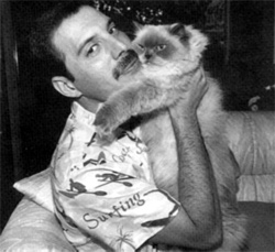 Freddie Mercury vent’anni dopo